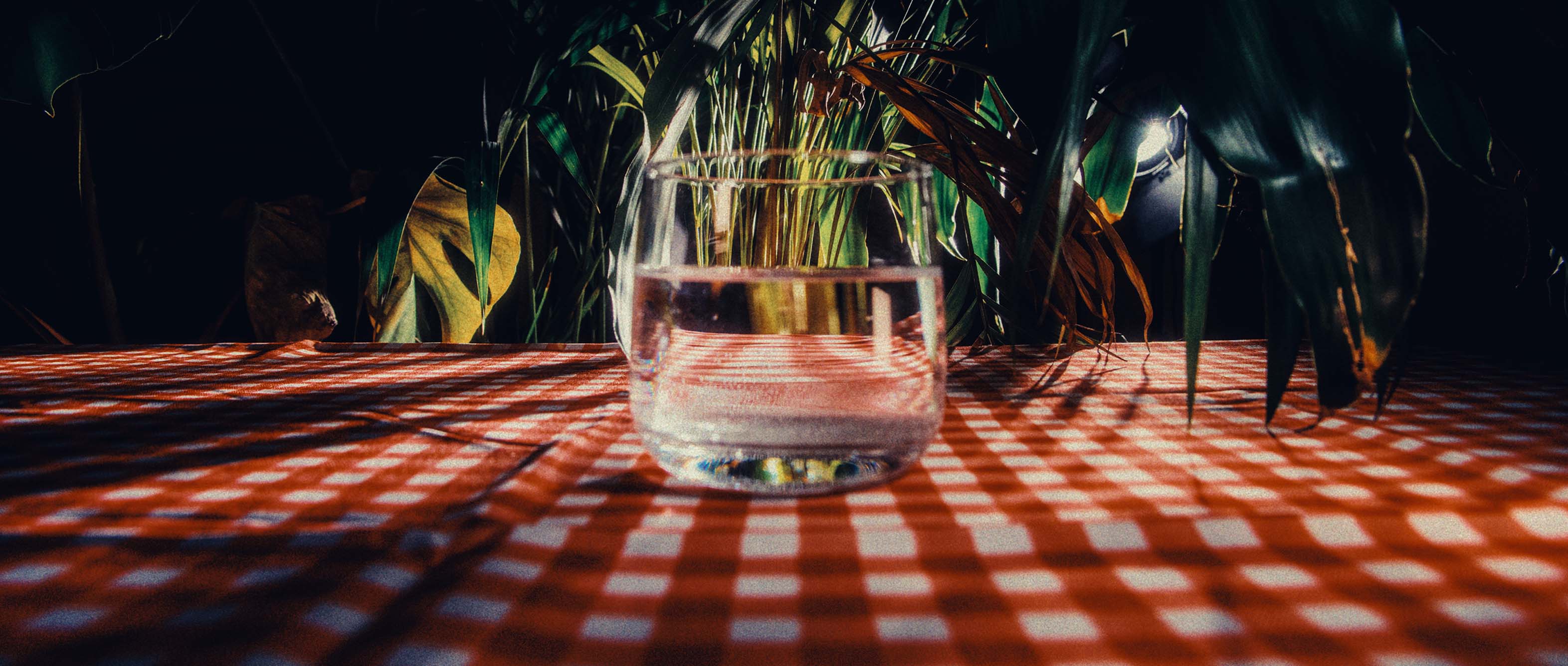 Sunlit glass of water on red-checkered tablecloth